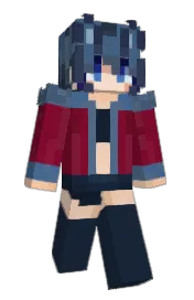 Skin preview