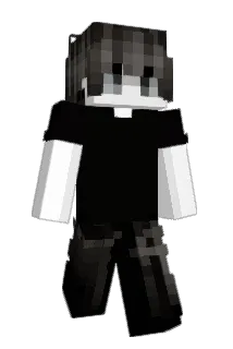 104s Minecraft avatar full body