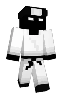 105505 Minecraft avatar full body