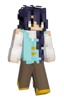 palmplayers's Minecraft skin