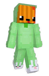 Front of Lannill's skin