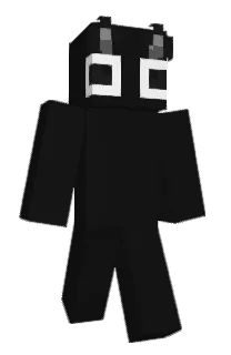 Front of Fassee's skin
