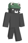 Snipst