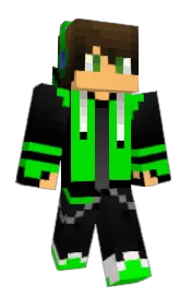 Skin preview