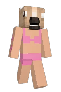 1082ms Minecraft avatar full body