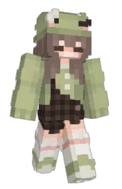 Skin preview