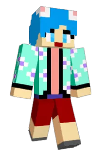 109dungi Minecraft avatar full body