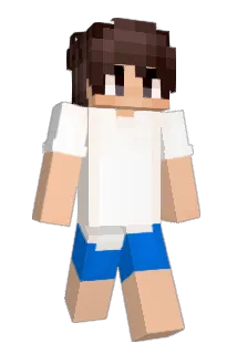 10Tage Minecraft avatar full body