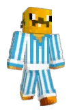 10W40 Minecraft avatar full body