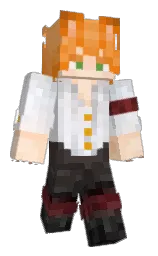 Minecraft skin — Classic model