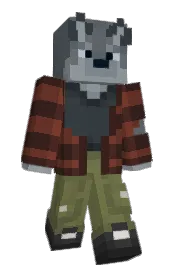 Skin preview