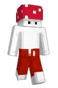 MaxVerstappenRBR