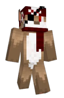 Front of ndn's skin