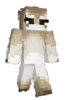 Front of Mintti's skin