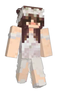 fflamax's Minecraft skin