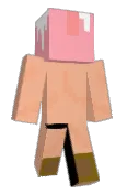 leshi00