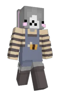 Front of minixerro's skin