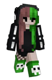 Skin preview