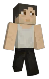 Classic Minecraft skin