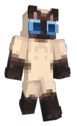 tequila and pancho Minecraft skin — Classic model — first worn by 0Grass0