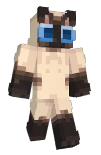 Front of 0Grass0's skin