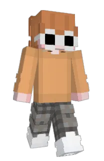 Front of SHRKI's skin