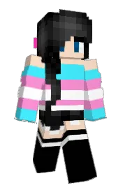 Skin preview