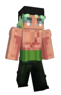 bigflatbarrel789's Minecraft skin
