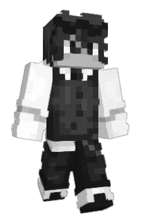Front of Zanitel's skin