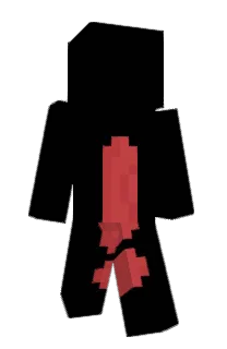 Front of RuidoDeMate's skin
