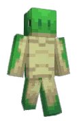 Turtle_Gara