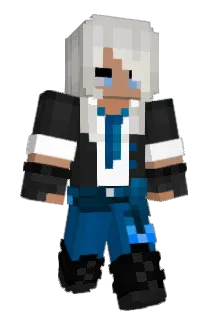 10nic Minecraft avatar full body
