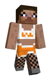 10orange Minecraft avatar full body