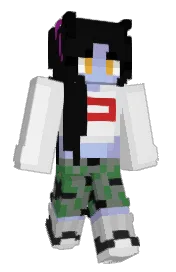 Skin preview