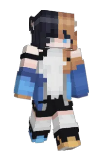 1113dear Minecraft avatar full body