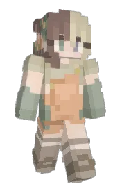 Skin preview