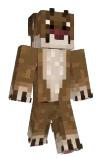 Front of Itaychuk's skin