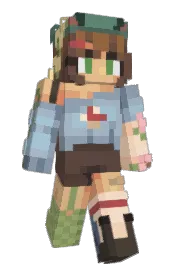 Skin preview