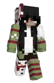 Skin preview
