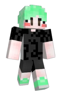 1127cat Minecraft avatar full body