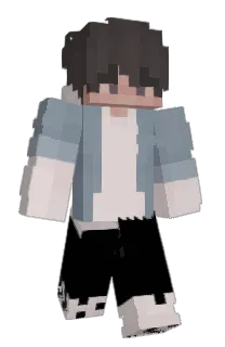 Front of ZYP3R's skin