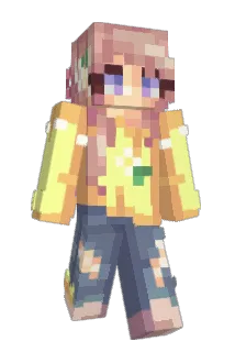 11312 Minecraft avatar full body