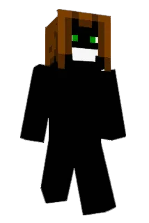 113420 Minecraft avatar full body