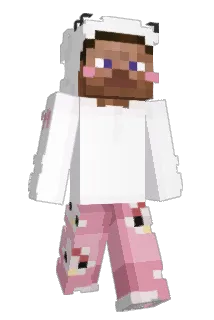 114124 Minecraft avatar full body