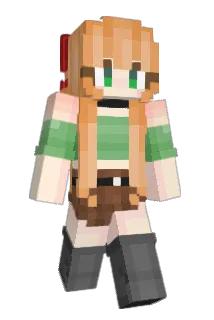 1145142333 Minecraft avatar full body