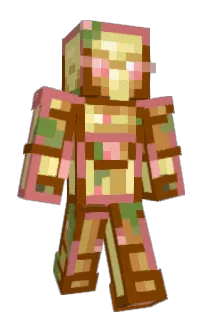 Front of EvokerWand's skin