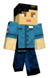 Skin preview