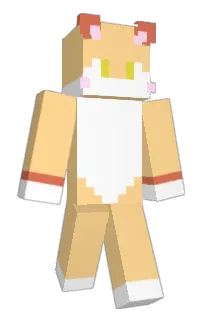 Front of bingganouo's skin