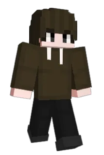 116njj Minecraft avatar full body