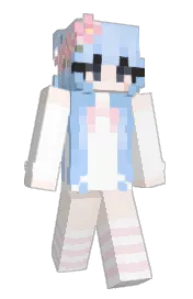 Skin preview
